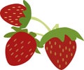 A bush of ripe strawberries with three berries, vector drawing, isolate on